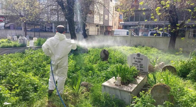 Siirtte mezarlıklarda yabani otlara karşı ilaçlama çalışması başlatıldı