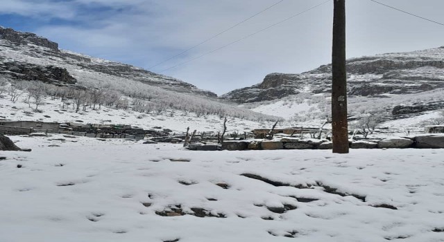Şırnak beyaza büründü
