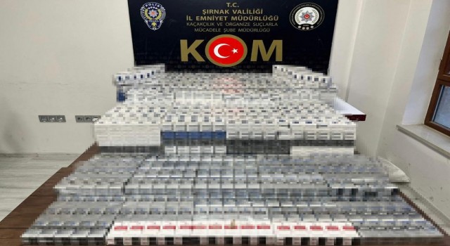 Şırnakta asayiş ve kaçakçılık operasyonu: 44 gözaltı