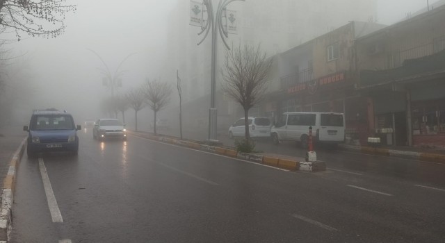 Şırnakta etkili olan sis, görüş mesafesini 10 metreye düşürdü