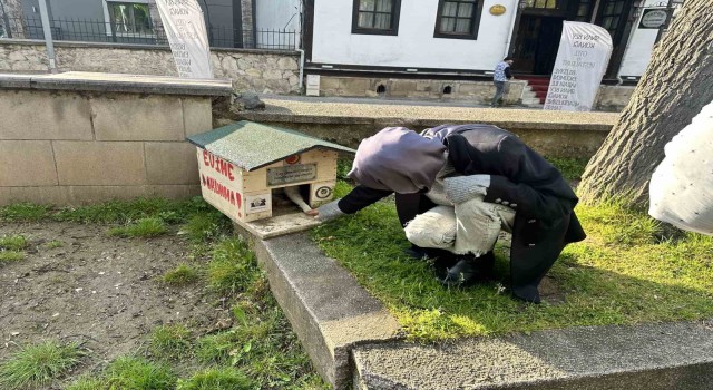 Sokakta besledikleri kedileri bu halde görünce şoke oldular