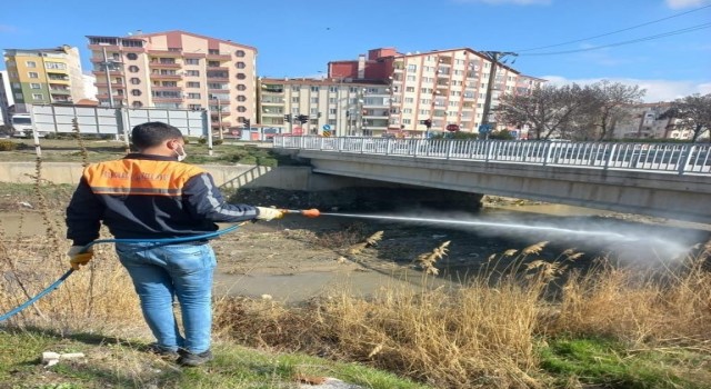 Sungurluda vektörel mücadele sürüyor