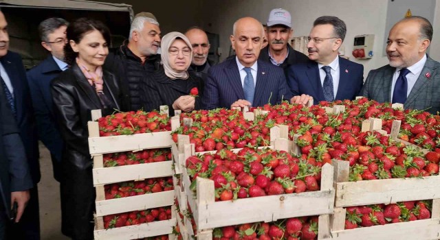 Tarım ve Orman Bakanı Kirişci: Örtü altı sera alanı 811 bin dekara çıktı