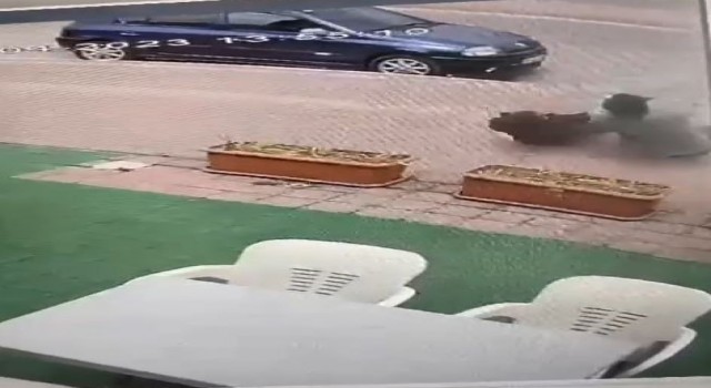 Tele konan kuşları indirmek isterken akıma kapılan gençler ölümden döndü