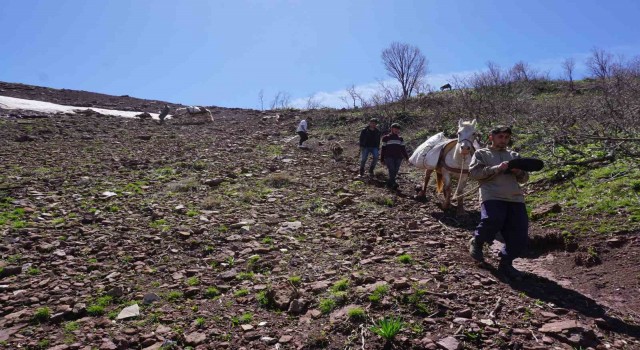 Terörün yerini huzura bıraktığı dağlar, insanlarla dolup taştı