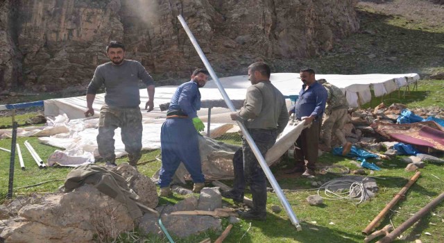 Terörün yerini huzura bıraktığı yaylalar şenlendi