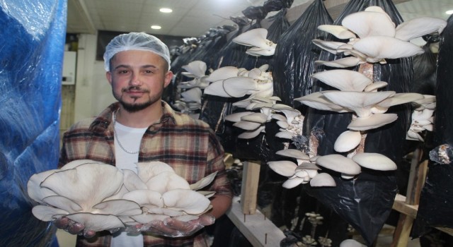 Tır şoförlüğünü bırakıp hayallerinin peşinden gitti yakın arkadaşıyla birlikte istiridye mantarı üretimine başladı