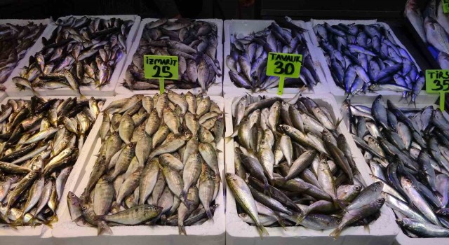 Trabzon Balıkhalinin en ucuz balıkları İzmirli İzmarit ve Kupes