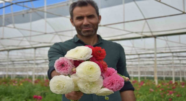 Türkiyede sadece Antalyada üretiliyor, yüzde 90 yurt dışına ihraç ediliyor
