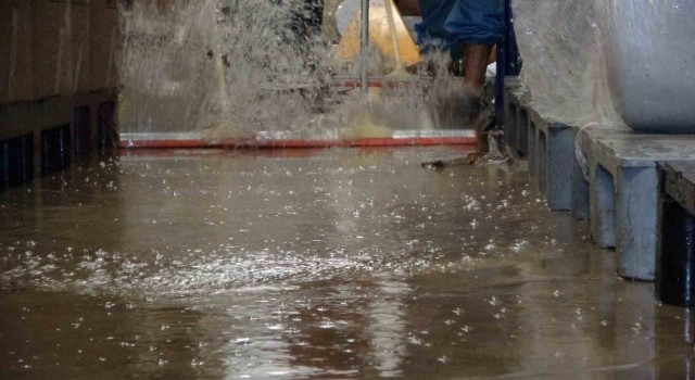 Tuzlada İSKİ yol çalışması yaptı, gıda takviyesi üreten fabrikayı su bastı