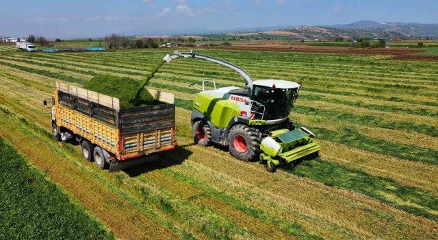 Üreticiler hasat için sahaya indi