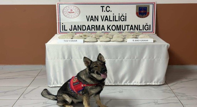 Vanda 9 kilo 880 gram toz esrar ele geçirildi
