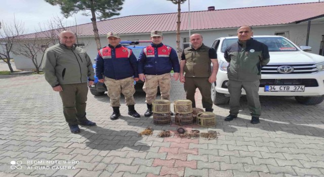 Vanda kafes avcılığı yapan 4 kişi jandarmaya takıldı