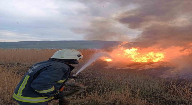 Vanda sazlık alanlarda yangın