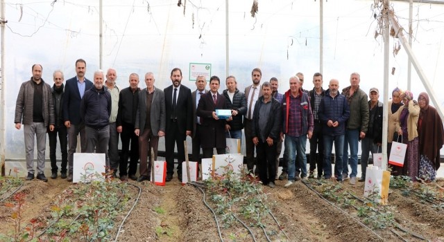 Yalovada kesme gül zararlısına karşı mavi yapışkan tuzak dağıtıldı