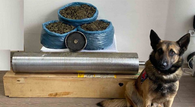 Yolcu otobüsündeki 15 kilo uyuşturucuyu Asır buldu