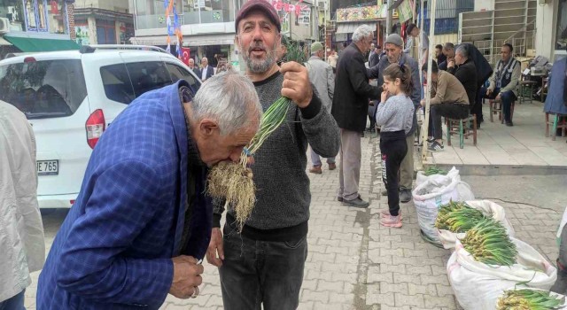 Yüksek dağlarda yetişen ve birçok hastalığa iyi geldiği belirtilen zuzubak otu yok satılıyor