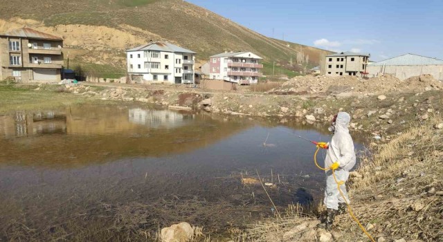 Yüksekovada sinek ve haşerelere karşı ilaçlama çalışması