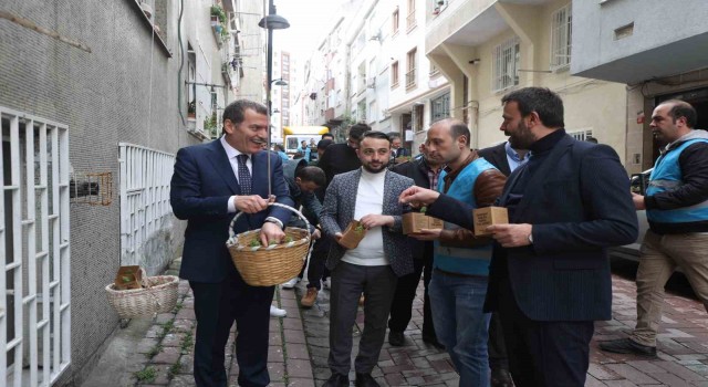 Zeytinburnuna Bahar Fesleğenle geldi