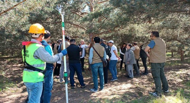 5 farklı ülkeden gelen temsilciler Kastamonudaki tohum bahçelerini gezdi