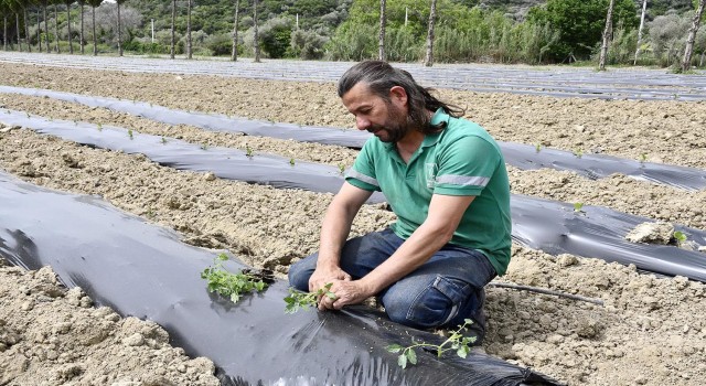 Adabahçeye yaz bereketiyle geldi
