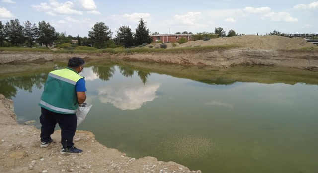 Adıyamanda haşarat ile mücadelesi devam ediyor