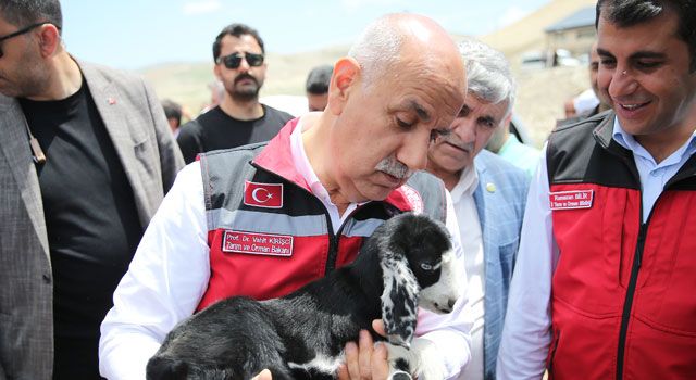 Afet bölgesindeki yetiştiricilere ayni yardım yapılacak