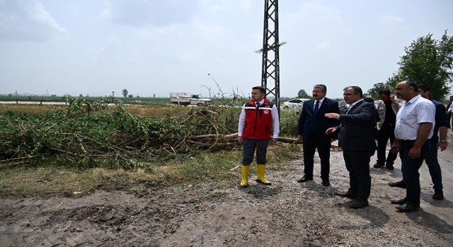 Ağaçların devrildiği, hortumun vurduğu Sakarcalıkta yaralar sarılıyor