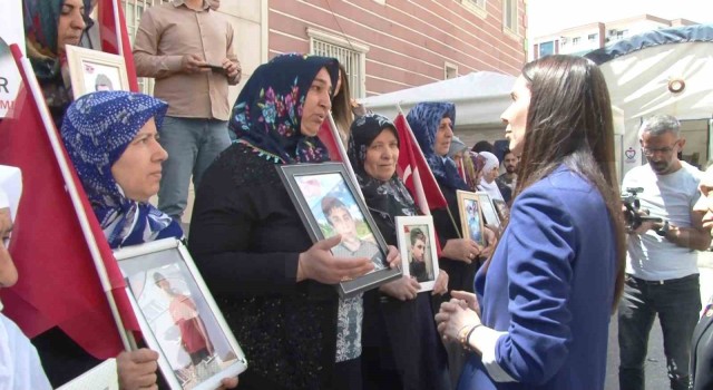 AK Parti Genel Başkan Yardımcısı Karaaslan, Diyarbakırda HDP ve Millet İttifakına yüklendi