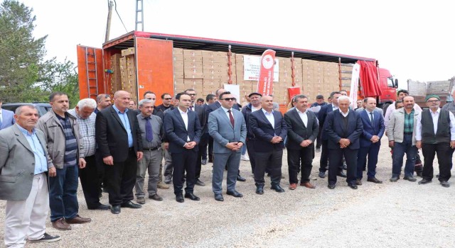 Akıncılarda 220 bin domates fidesi dağıtıldı