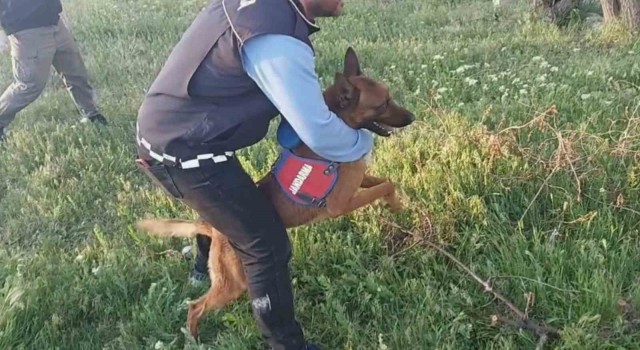 Aksarayda uyuşturucu operasyonu: 5 gözaltı