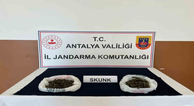 Alanyada uyuşturucu ticaretine jandarma engeli