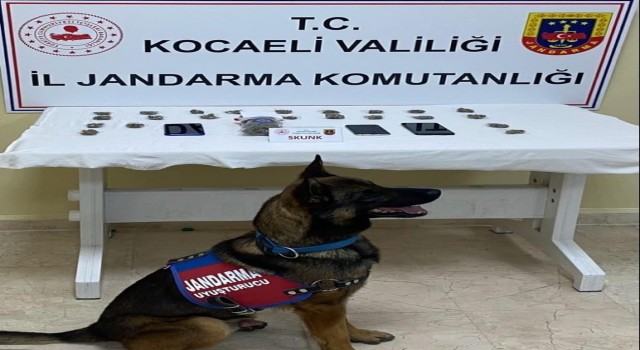 Aracında 100 gram skunk ve 3 cep telefonu ele geçirildi
