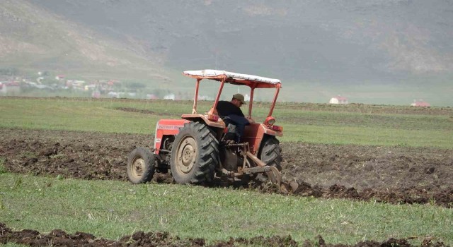 Ardahanda buğday ve arpa ekimi başladı