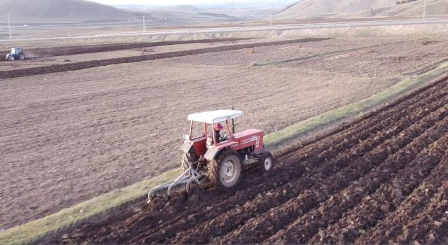 Ardahanda buğday ve arpa ekimi başladı