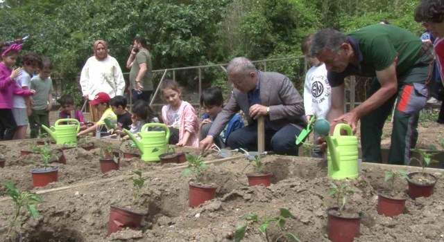 Ata tohumu fideler Üsküdarda toprakla buluştu
