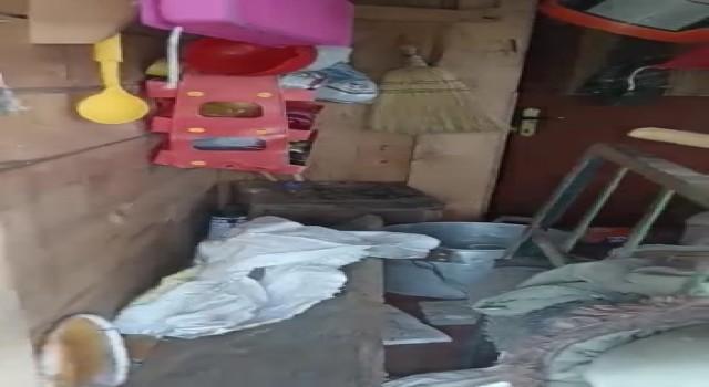 Ayılar yayla evlerini talan etti, vatandaş eve Selamünaleyküm diyerek girdi