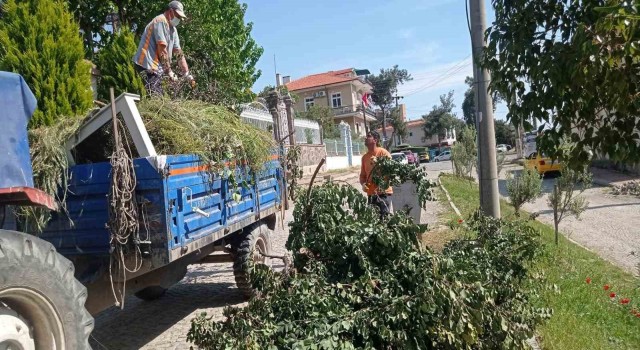 Ayvalıkta sezon öncesi detaylı temizlik