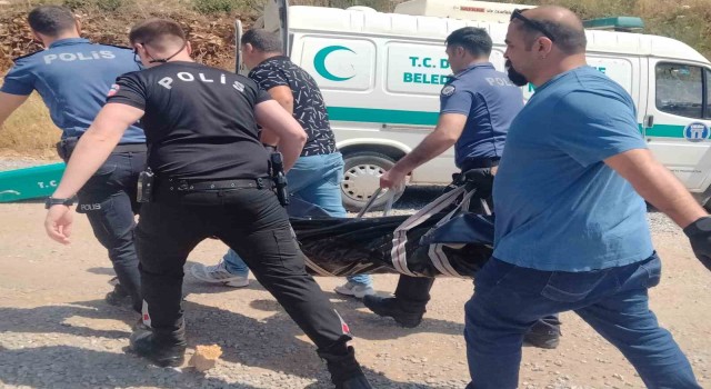 Bahçedeki kamelyada ölü olarak bulundu