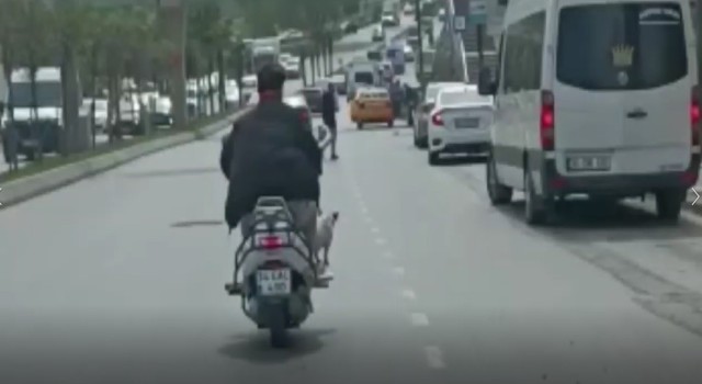 Bahçelievlerde köpekle tehlikeli yolculuk kamerada