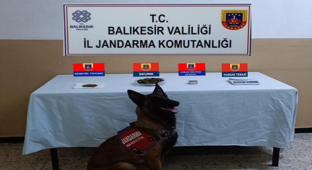 Balıkesirde jandarmadan 48 şahsa uyuşturucu operasyonu