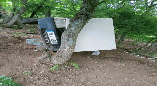 Balyada otomobil şarampole uçtu: 3 yaralı