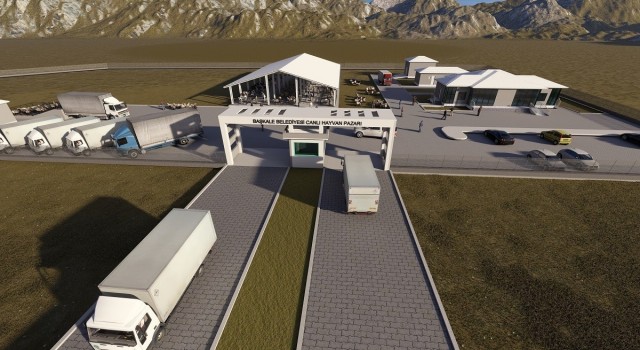Başkalede canlı hayvan pazarı kuruluyor