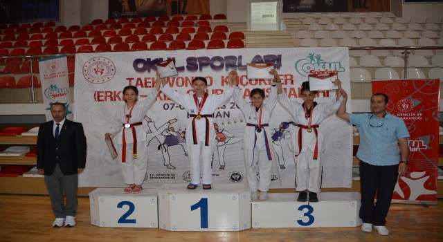 Batmanda yapılan tekvando küçükler grup müsabakaları sona erdi