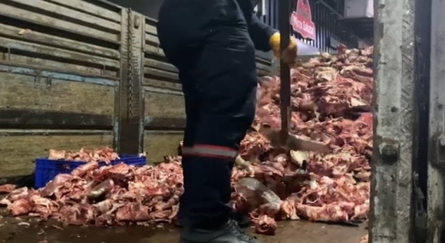 Bayrampaşada şoke eden görüntü: Et satışı yapılan işletmelerde hijyen kurallarına uyulmadı
