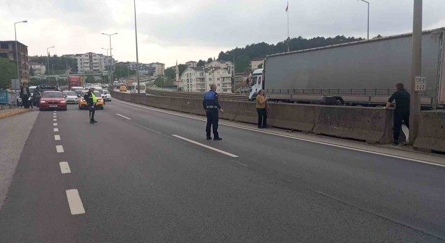 Beton bariyerlere sıkışan kedi için trafiği durdurdular: Helal olsun size