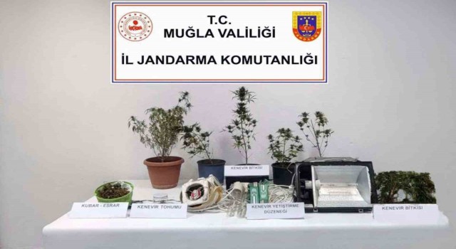 Bodrum, Milas ve Seydikemerde uyuşturucu operasyonu