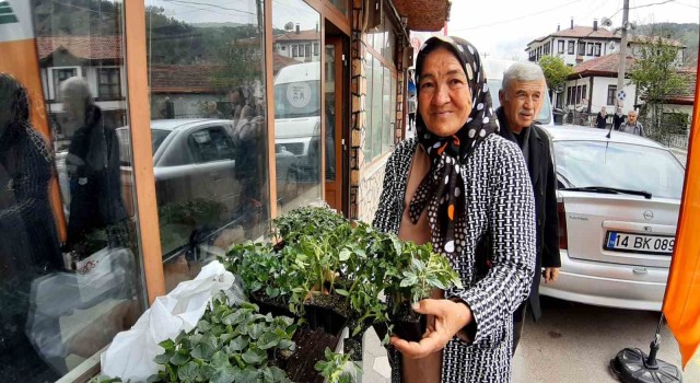 Boluda 10 bin fideye yoğun talep