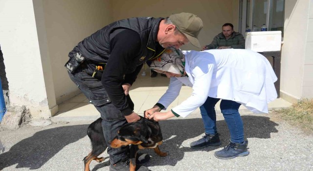 Bozüyükte ücretsiz kuduz aşısı kampanyası kapsamında 263 aşı yapıldı