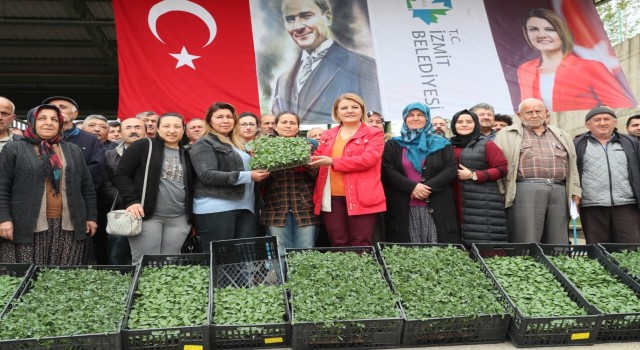 Kocaeli'de Çiftçiye yüzde yüz hibeli fide desteği